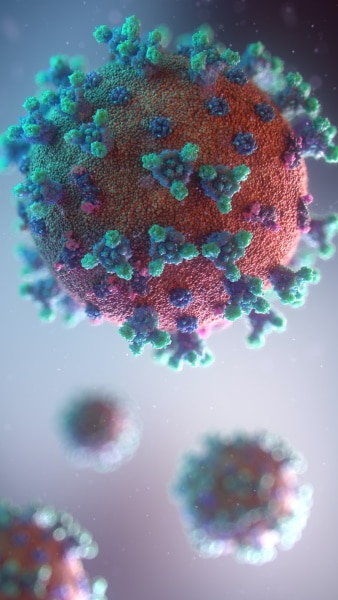 Virus desde la mirada microscópica.