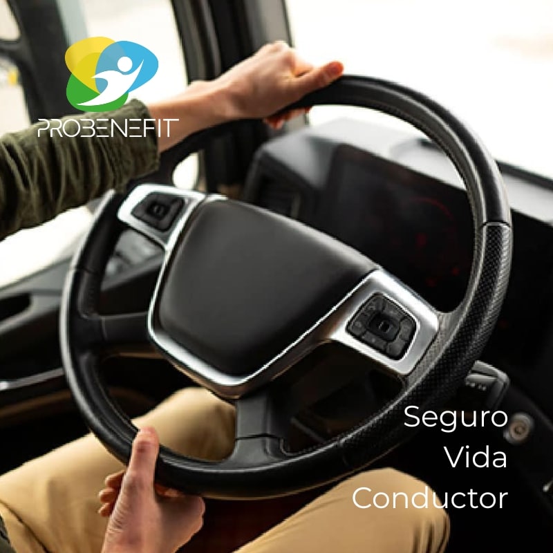 Seguro Vida Conductor Probenefit